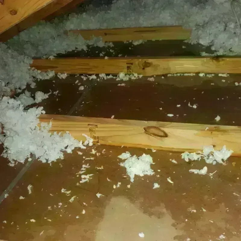 Attic Water Damage in Williamston, MI