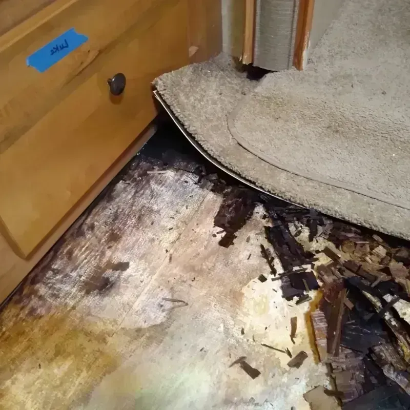 Wood Floor Water Damage in Williamston, MI